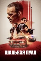 Шальная пуля